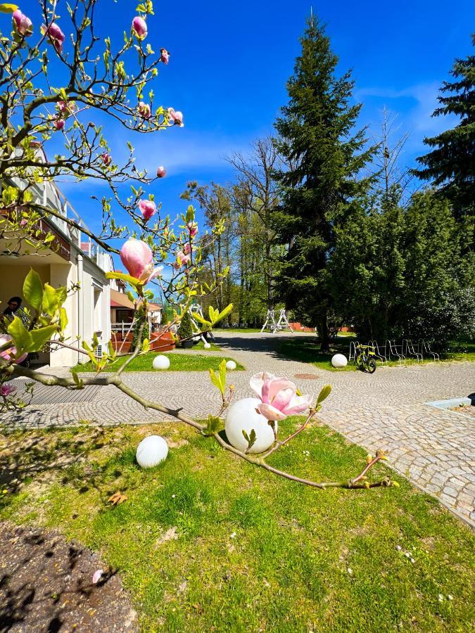 Szafirowy Dwor Hotel & Restauracja Гливице Экстерьер фото